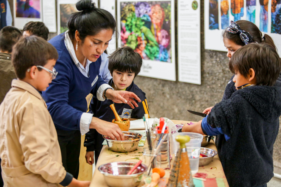 Pedagogía en Educación Básica
